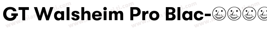 GT Walsheim Pro Blac字体转换
